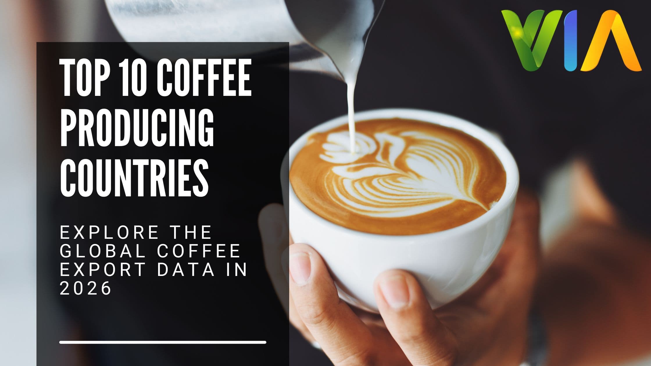 Top 10 Coffee Producing Countries: Explore the Global Coffee Export Data in 2026
